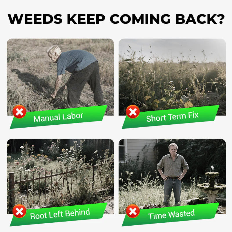 Cyclosinone Herbicide Granules | 🔥FREE CLIMBING ROSE SEEDS🔥 (Pack of 1)