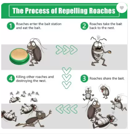 Cockroach Killer Roach Gel- Long-Lasting Pest Control for Home, Kitchen & Office Pack of 6 Pcs