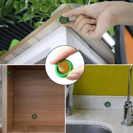 Cockroach Killer Roach Gel- Long-Lasting Pest Control for Home, Kitchen & Office Pack of 6 Pcs